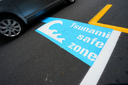 Tsunami Zone