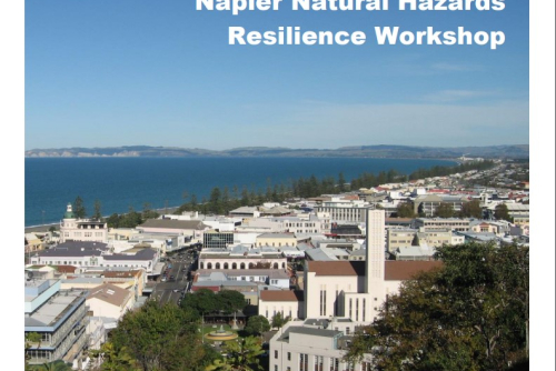 Napier Natural Hazards Resilience Report: Initial Options Report