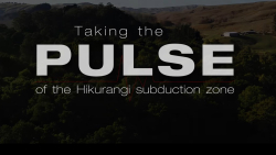 The PULSE project (Physical processes UnderLying Slow Earthquakes) is a GNS Science led, newly funded Marsden project that joins a range of other efforts to better understand the Hikurangi Subduction zone.    PULSE focuses on an area near Cape Turnagain and Pōrangahau on the East Coast where slow slip events happen roughly every five years.    Over 80 instruments have been installed onshore and offshore in order to capture crustal deformation and seismicity related to the next slow slip event.